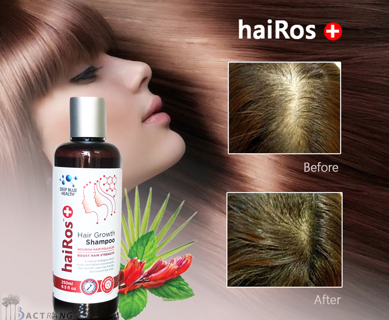 Dầu gội mọc tóc, sạch gàu haiRos+ Shampoo - Deep Blue Health